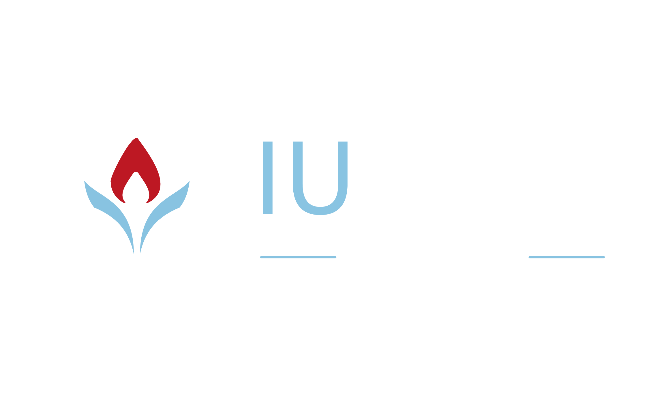 Inscripción Diplomado en Docencia Universitaria e Innovación Educativa